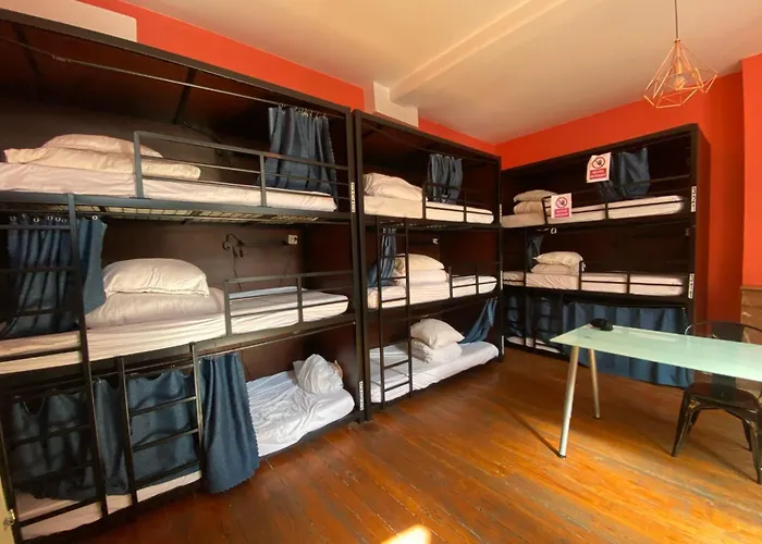 Hôtel accueillant les animaux: Hostel20 Bordeaux