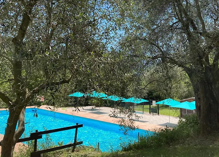 Hôtel accueillant les animaux: Camping Domaine Sainte Madeleine