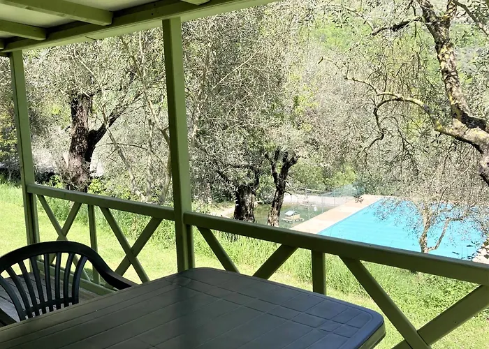 Hôtel accueillant les animaux: Camping Domaine Sainte Madeleine