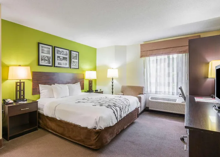 Resort: Sleep Inn Statesville I-40