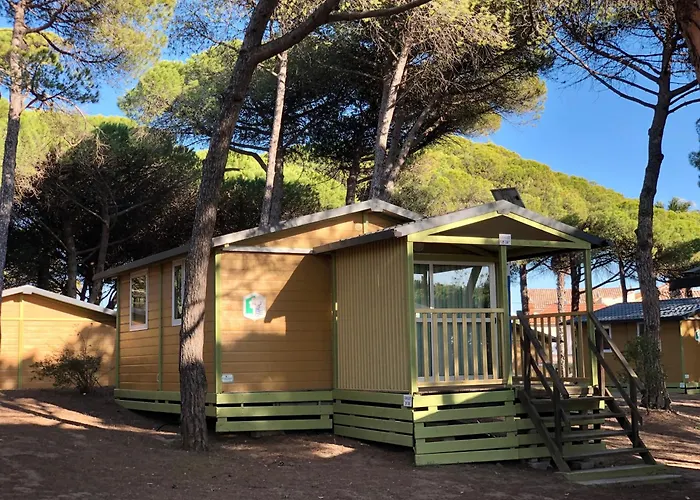 Hôtel accueillant les animaux: Camping la Tamarissière