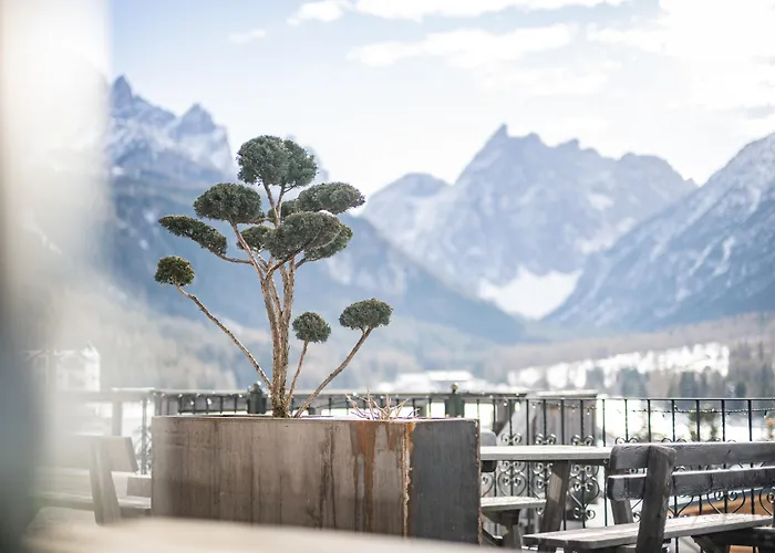 Hotel adatto agli animali: Berghotel - Sexten