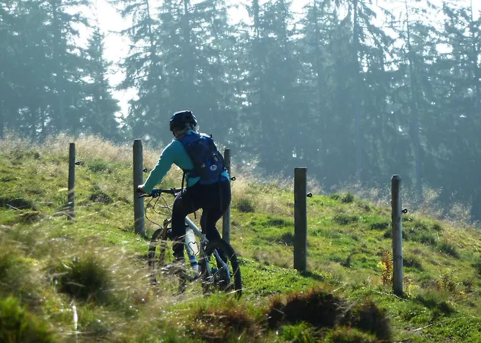 Haustierfreundliches Hotel: Kaisers Stadthotel
