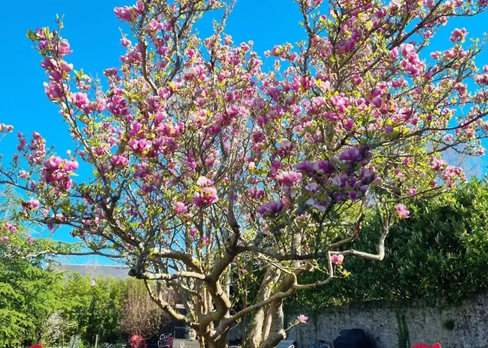 Hôtel accueillant les animaux: La Maison Bizienne Guérande - Chambres d'hôtes de charme