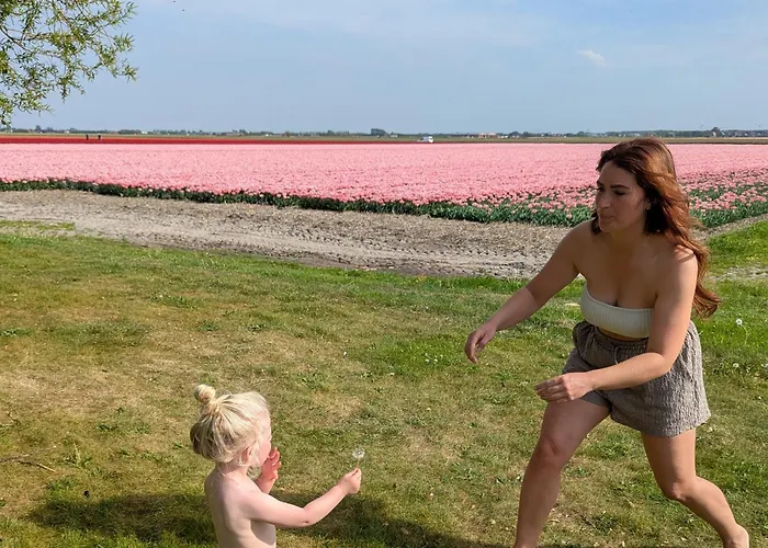 Empty Spot On Grass Camping The Tulip No Beds