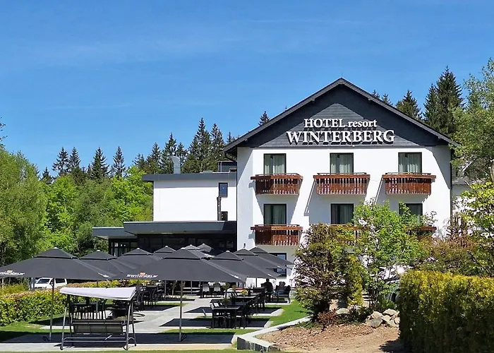 Skivakantie: Hotel Winterberg Resort