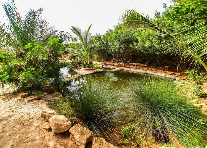 Animaux admis Dar Tawarta Guest House Dakhla