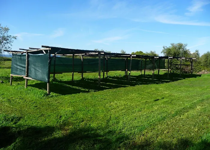 Hotel adatto agli animali: Agriturismo Antica Cassia