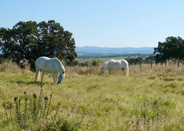 Hotel que aceita animais de estimação: Herdade Da Carapuca- Casa De Campo