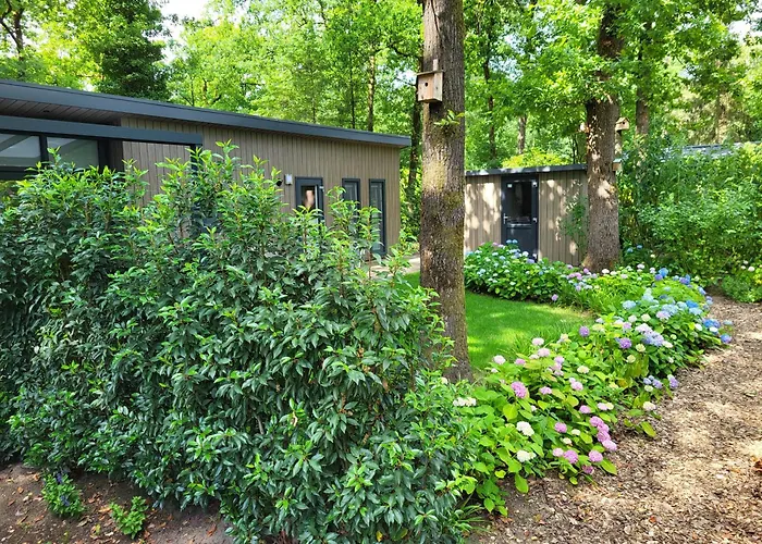 Villa: Knus Chalet met boszicht op Vakantiepark Bonte Vlucht - vlak bij Utrechtse Heuvelrug