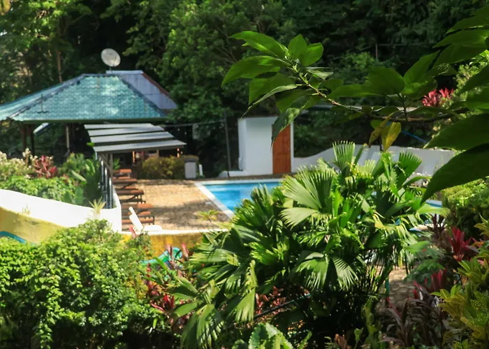 Hostel: Hostel Plinio