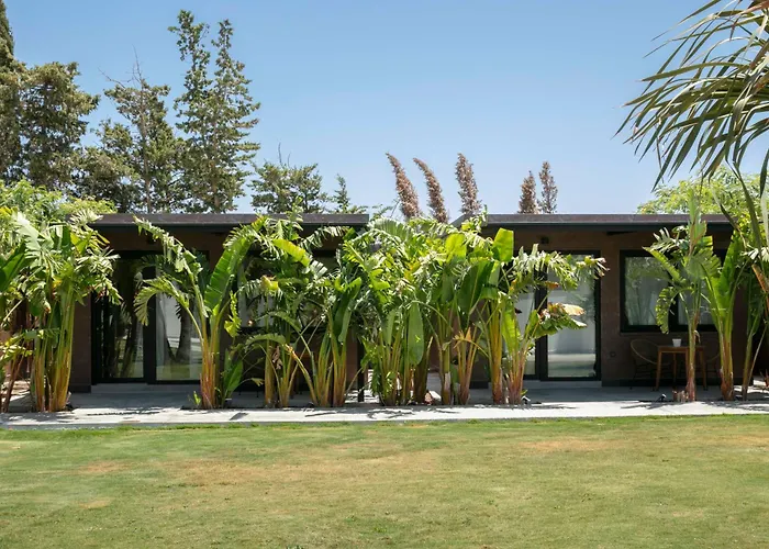 Alojamiento rural FINCA AZUCENA SUITE only adults