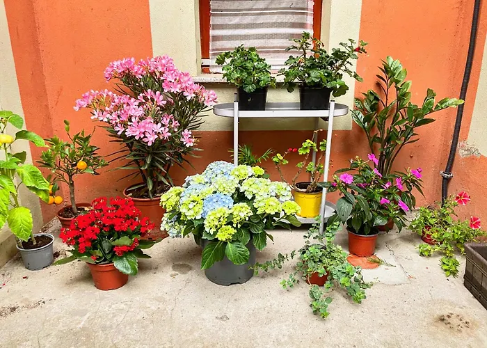 Balazs Guesthouse - In A Green Area, With Our Own Garden - Next To Metro 4 Station