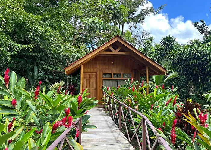 La Fortuna Natural Green