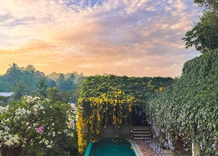 Pet Friendly hotel: Goddess Kandy