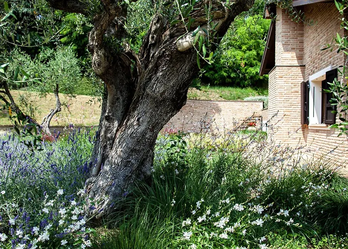 Resort Villa Paola Longiano