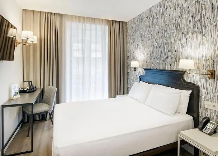 Hôtel accueillant les animaux: Sercotel Hotel Europa