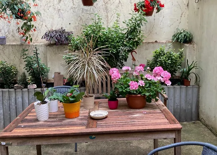 Aparthotel: Aparthotel City 5