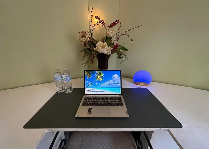 Ekstasis Hostel & Urban Farm