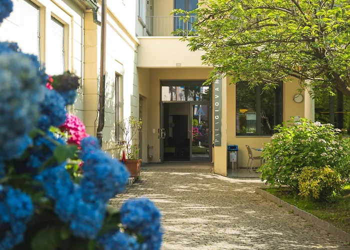 Haustierfreundliches Hotel: Locarno Youth Hostel