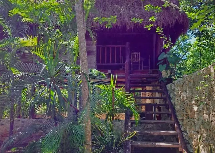 Casa Mango