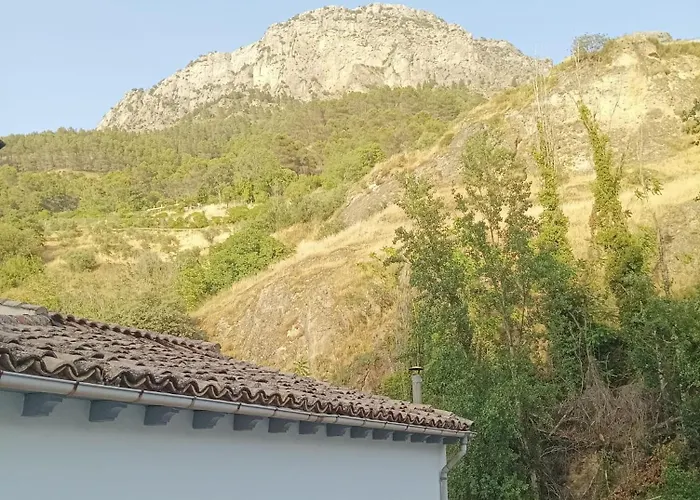 Hotel que admite mascotas: Casa Los Patos