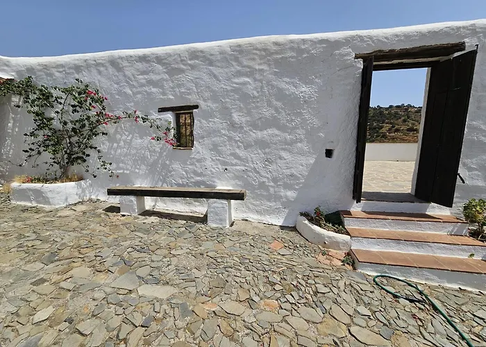 Perros hoteles Cortijo J&S Juan Salvador