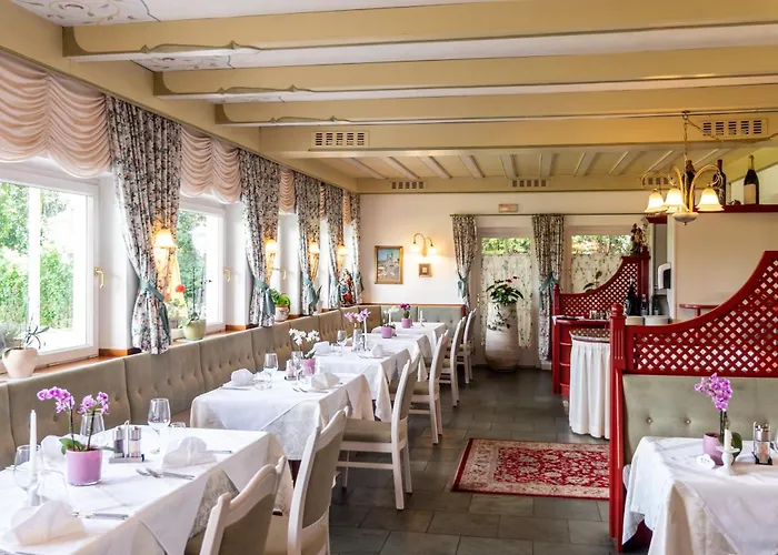 Hotel adatto agli animali: Hotel Koenig Laurin
