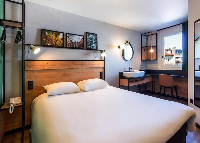 Animaux admis Ibis Pau Centre