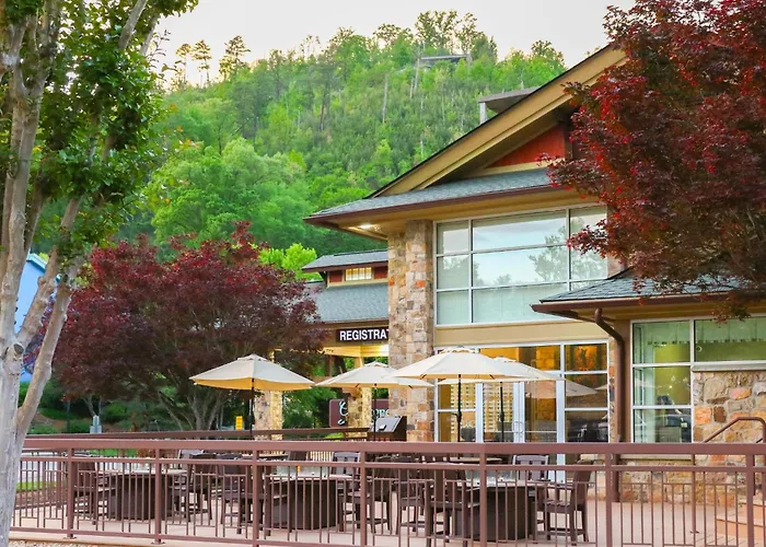 Waterpark hotel: Greystone Lodge On The River