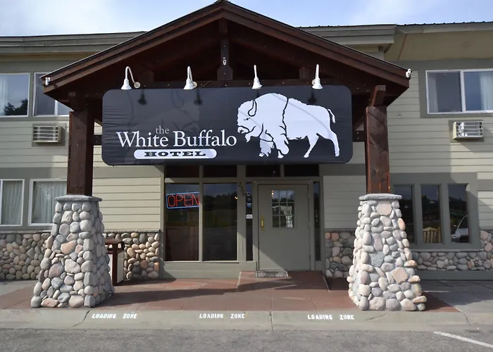 White Buffalo