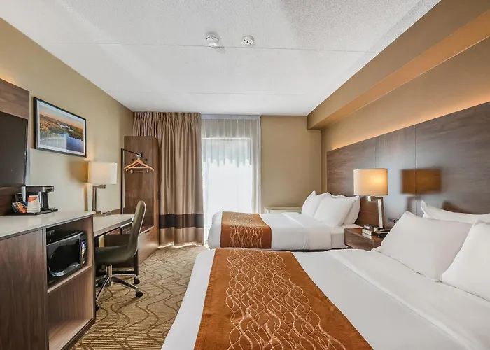 Comfort Lakeshore
