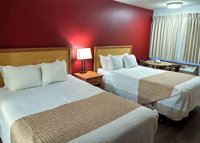 Pet Friendly hotel: Econo Lodge Edmonds North Seattle