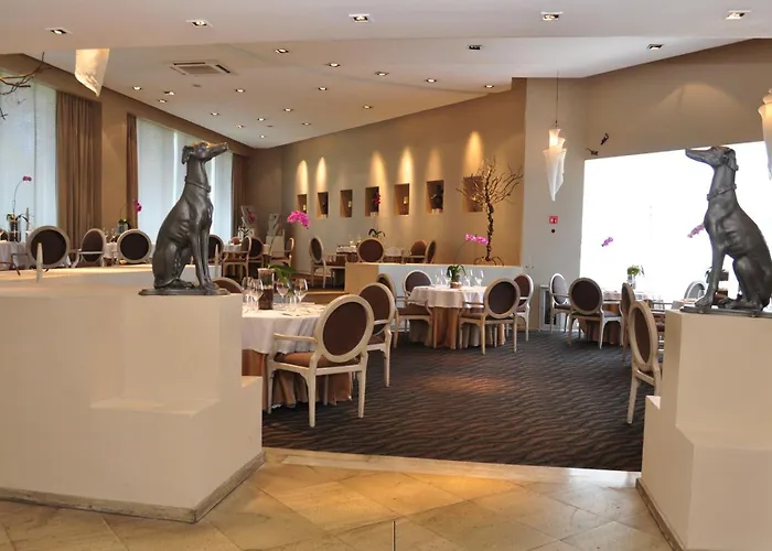 Royal Pedregal