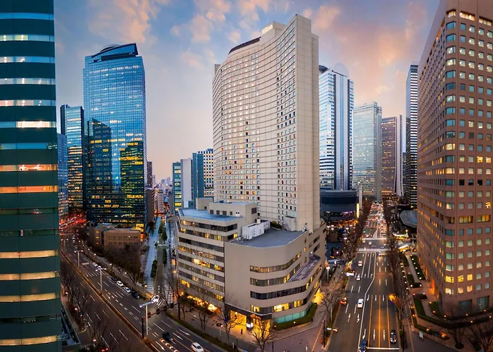 Hotel Jacuzzi: Hilton Tokyo Hotel