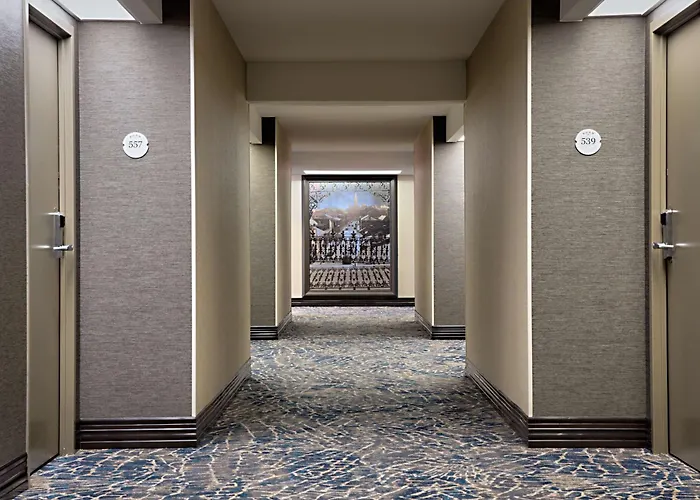 Luxury hotel only: Hilton New Orleans Airport