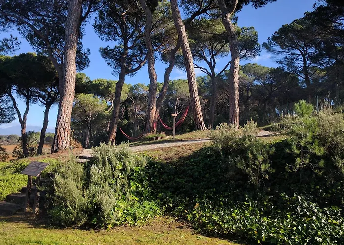  Augusta Barcelona Valles