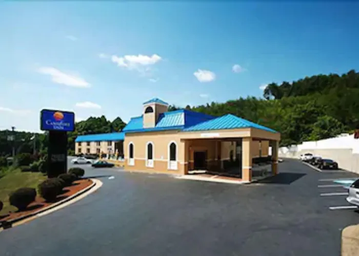 Pet Friendly hotel: Quality Inn Near Martinsville Speedway