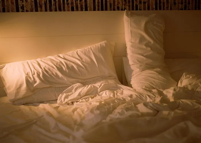 Haustierfreundliches Hotel: Pol & Grace Hotel