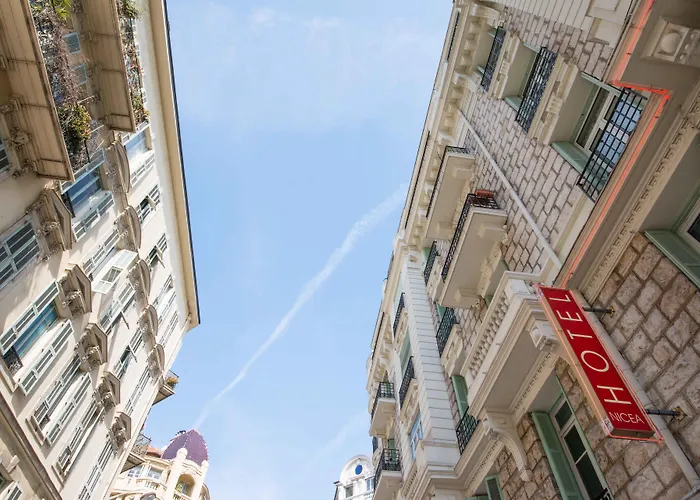 Hôtel accueillant les animaux: Hôtel Byakko Nice