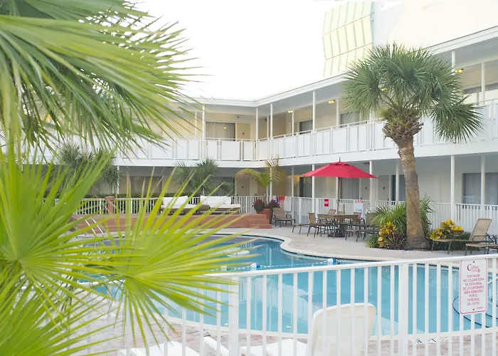 Pets Allowed Hotel Collins