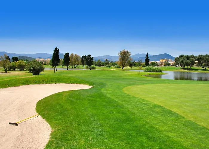 Hotel que admite mascotas: Oliva Nova Beach & Golf Hotel