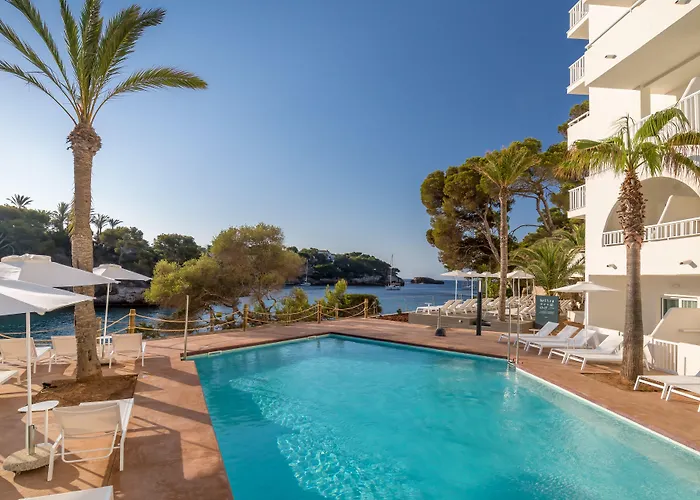 Hôtel accueillant les animaux: Barcelo Ponent Beach