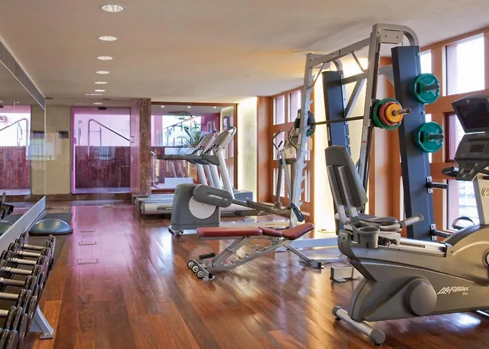 Hôtel accueillant les animaux: Hotel Melia Bilbao