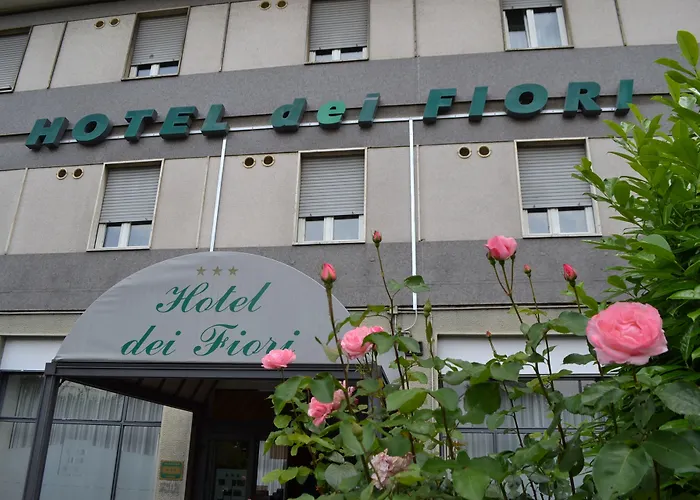 Dei Fiori