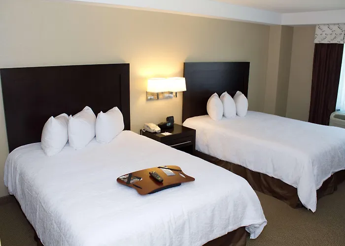 Hampton Inn & Suites Boston Crosstown Center