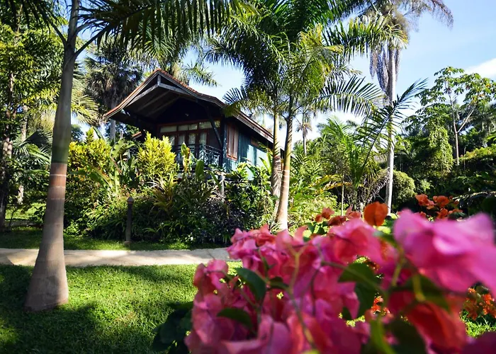 Sunset At The Palms Resort (Adults Only)