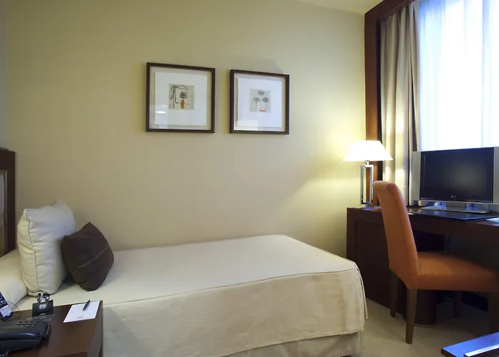 Hôtel accueillant les animaux: Hotel Nuevo Madrid