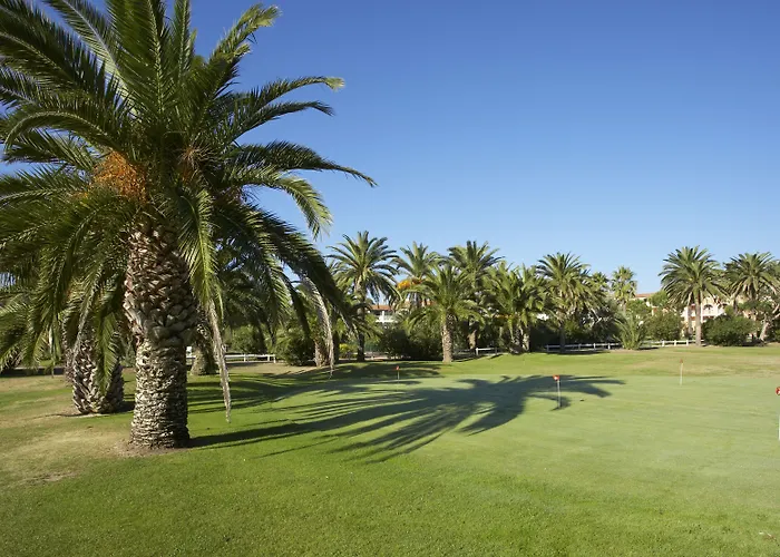 Sowell s Du Golfe De Saint-Tropez