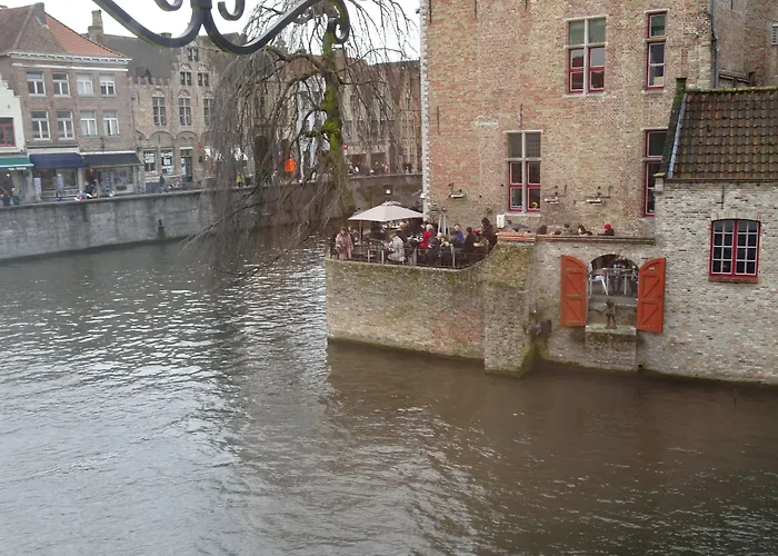 Animaux admis Duc De Bourgogne
